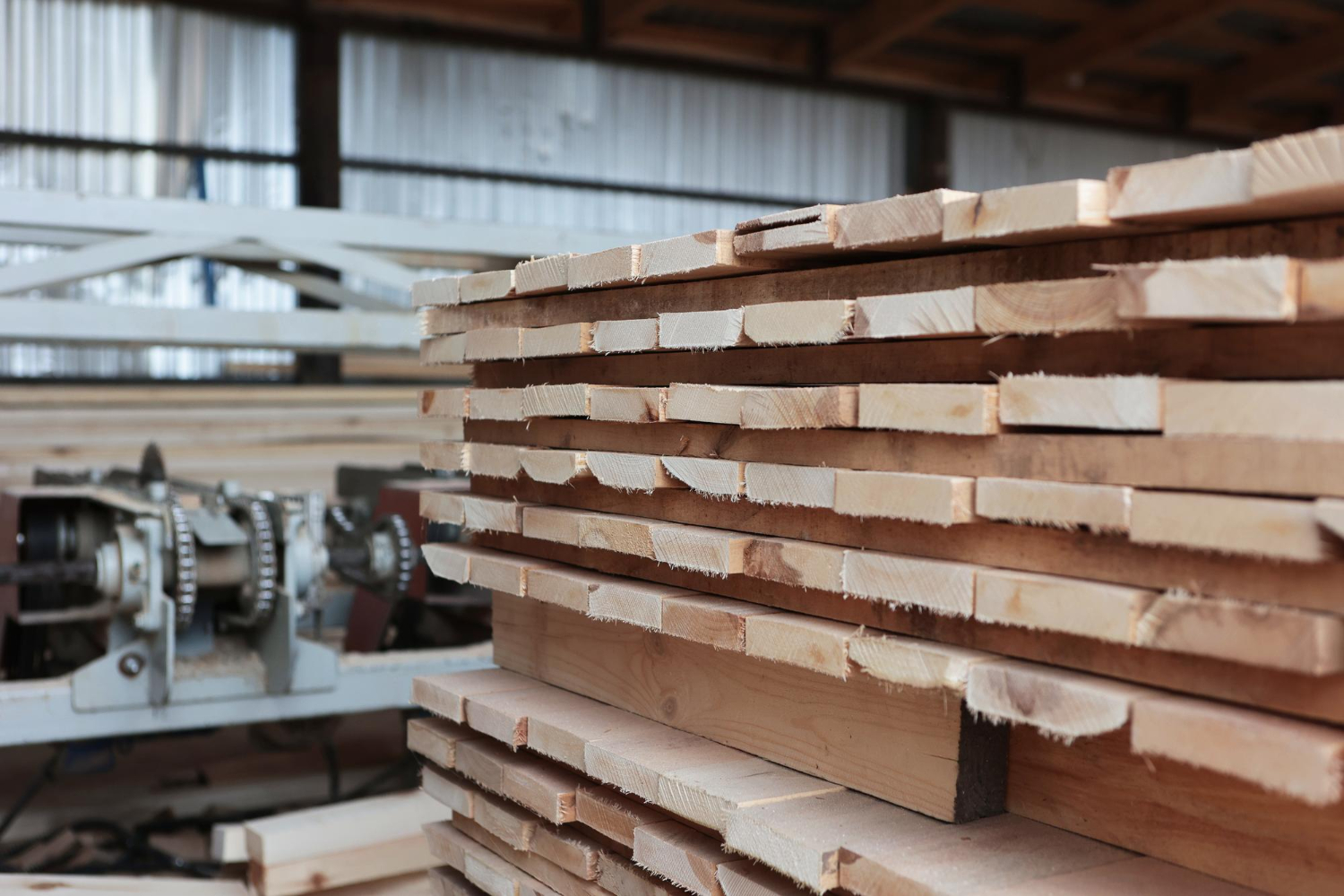 מחסן עצים חיפה